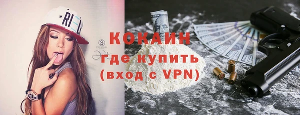 индика Наволоки