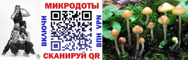 Псилоцибиновые грибы мицелий  Среднеколымск 